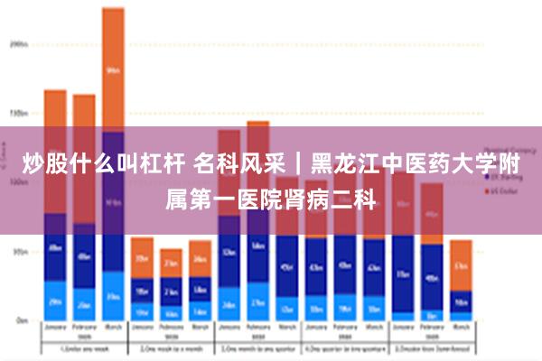 炒股什么叫杠杆 名科风采｜黑龙江中医药大学附属第一医院肾病二科