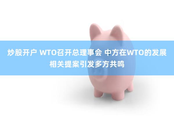 炒股开户 WTO召开总理事会 中方在WTO的发展相关提案引发多方共鸣