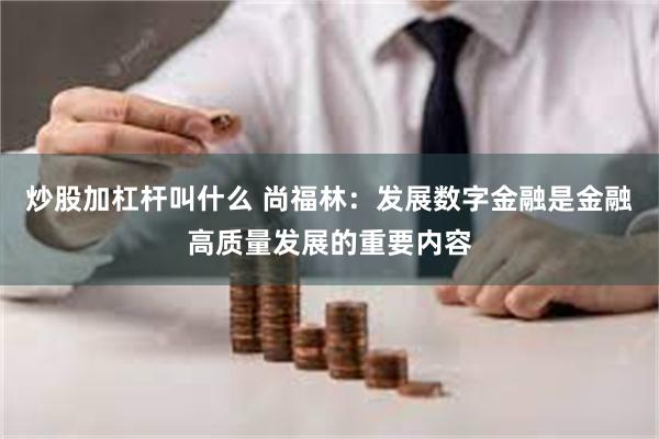 炒股加杠杆叫什么 尚福林：发展数字金融是金融高质量发展的重要内容