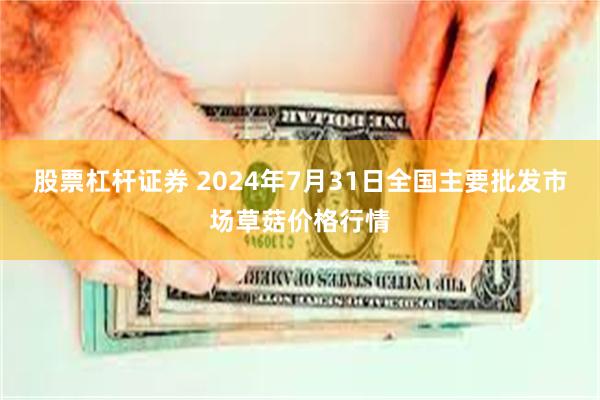 股票杠杆证券 2024年7月31日全国主要批发市场草菇价格行情