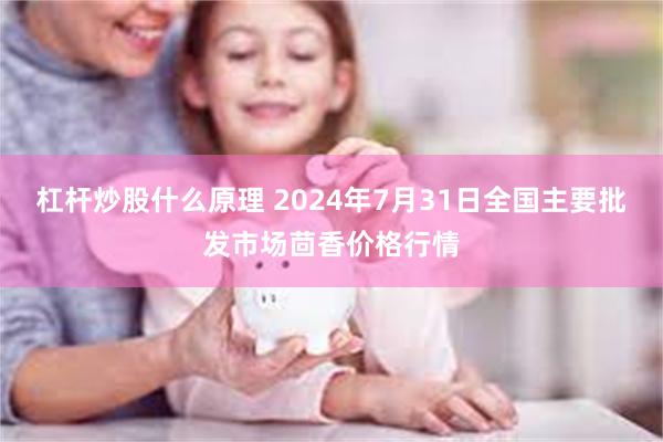 杠杆炒股什么原理 2024年7月31日全国主要批发市场茴香价格行情