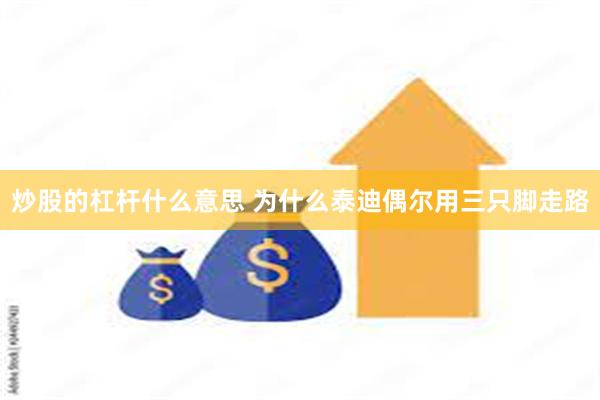 炒股的杠杆什么意思 为什么泰迪偶尔用三只脚走路