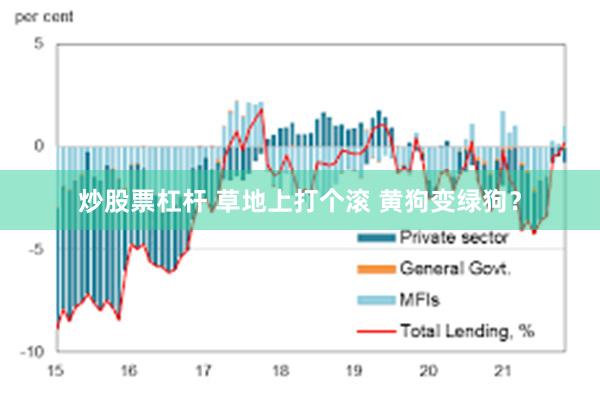 炒股票杠杆 草地上打个滚 黄狗变绿狗？