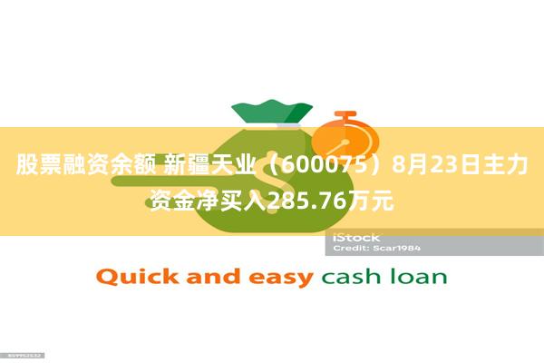 股票融资余额 新疆天业（600075）8月23日主力资金净买入285.76万元