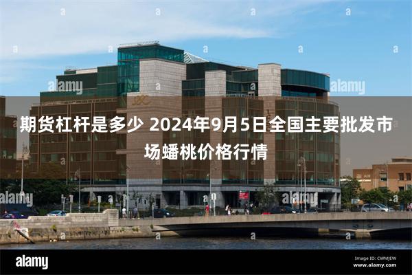 期货杠杆是多少 2024年9月5日全国主要批发市场蟠桃价格行情