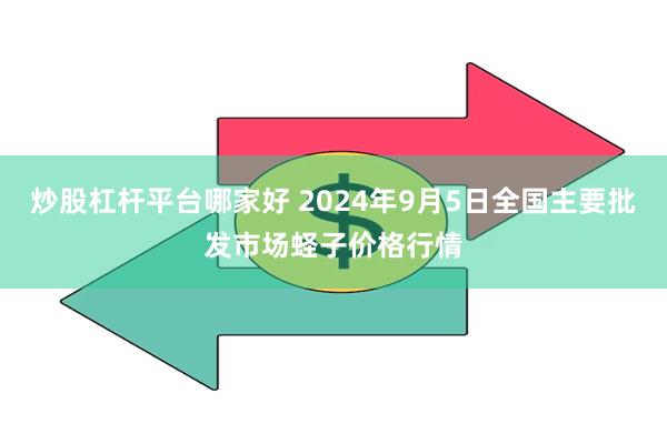 炒股杠杆平台哪家好 2024年9月5日全国主要批发市场蛏子价格行情