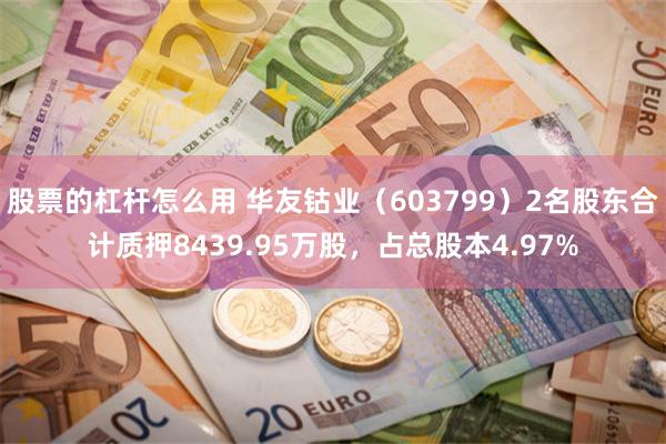 股票的杠杆怎么用 华友钴业（603799）2名股东合计质押8439.95万股，占总股本4.97%