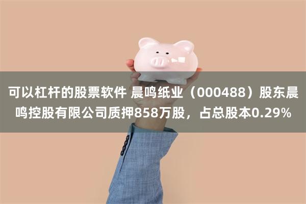 可以杠杆的股票软件 晨鸣纸业（000488）股东晨鸣控股有限公司质押858万股，占总股本0.29%