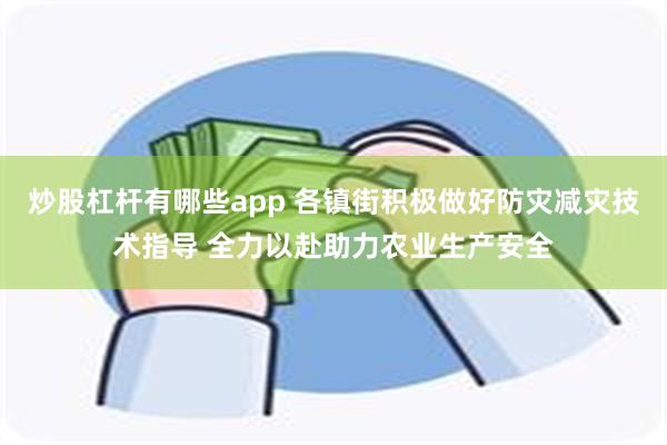 炒股杠杆有哪些app 各镇街积极做好防灾减灾技术指导 全力以赴助力农业生产安全