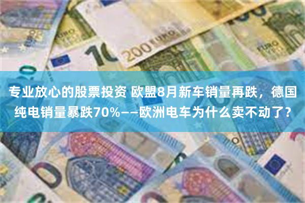 专业放心的股票投资 欧盟8月新车销量再跌，德国纯电销量暴跌70%——欧洲电车为什么卖不动了？