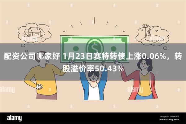 配资公司哪家好 1月23日赛特转债上涨0.06%，转股溢价率50.43%